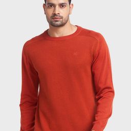 ColorPlus Men Round Neck Ribbed Long Sleeves Cotton Pullover-image-27