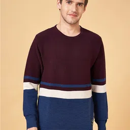 People Maroon & Blue Colourblocked Pure Cotton Pullover-image-20