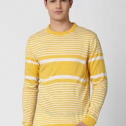 Peter England Casuals Men Yellow & White Striped Pullover-picture-10