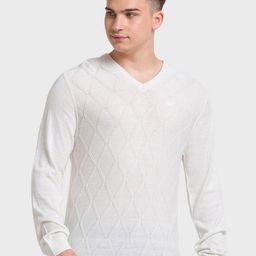 ColorPlus Men White Self Design Pullover-image-6
