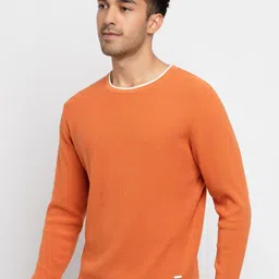 Status Quo Men Rust & White Self Design Acrylic Pullover image 3