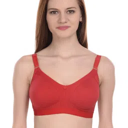 elina Bra Full Coverage-image-80