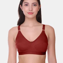 POOJA RAGENEE Women Solid Non Wired Non Padded Full Coverage Tshirt Bra-picture-3