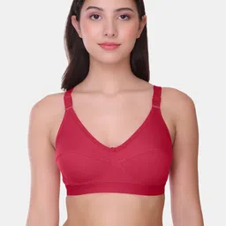 POOJA RAGENEE Full Coverage Non Padded T-Shirt Bra-picture-32