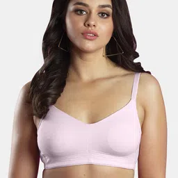 Dazzle Seamless All Day Comfort Non-Wired Non-Padded Medium Coverage Cotton Everyday Bra-picture-39