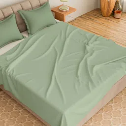 CURIOUS LIFESTYLE Green Cotton 300 TC Single Bedsheet With 1 Pillow Cover-picture-33