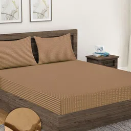 Home Sizzler Beige Striped 300 TC Cotton King Fitted Bedsheet with 2 Pillow Covers-picture-38