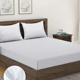 Home Sizzler White Striped 300 TC Cotton King Fitted Bedsheet with 2 Pillow Covers-image-90