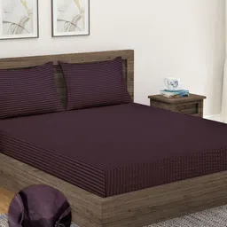 Home Sizzler Brown Striped 300 TC Cotton King Fitted Bedsheet with 2 Pillow Covers-image-77