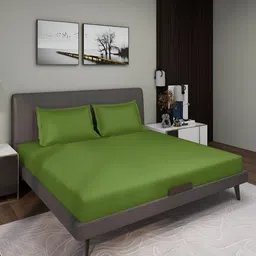 Aura Olive Green Solid 150 TC Queen Microfiber Bedsheet With 2 Pillow Covers-image-61