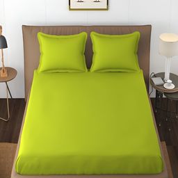 Bromwick Green Cotton 210 TC Queen Bedsheet With 2 Pillow Covers-image-24