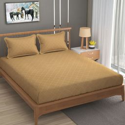 Bromwick Beige Solid Cotton 210 TC Queen Bedsheet with 2 Pillow Covers-image-93