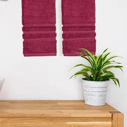 Boutique Living India Burgundy Set Of 2 Solid 550 GSM Pure Cotton Hand Towels-picture-13