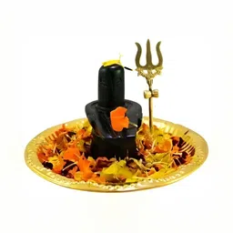 Navyaksh Gold-Toned & Black Religious Small Shivling Trishul Showpiece-image-23
