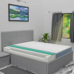 urbanbed Smart Hybrid 8 Inch Pocket Spring & Hypersoft & Resiflex Foam Mattress In Queen Size (With 2 Free Memory Foam Pillows)-picture-24