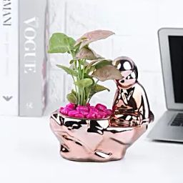 Syngonium Plant In Shimmering Thinking Boy Pot-image-40