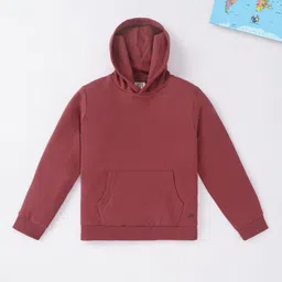 Ed-a-Mamma Boys Maroon Hooded Sweatshirt-image-6