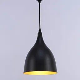 Areezo Black  Contemporary Metal Ceiling Lamp-image-65