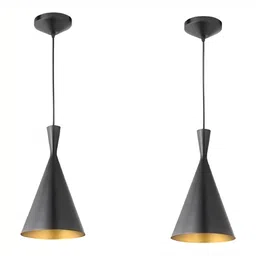 Areezo Black 2 Pieces Abstract Shaped Metal Ceiling Lamps-47
