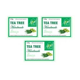 YNB YOURS NATURAL BUDDY Pack of 3 Organic Tea Tree SLS & Paraben Free Soap 360 gm-1