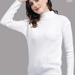 Clora Creation Pack Of 2 Turtle Neck Woolen Pullover Sweaters-picture-12