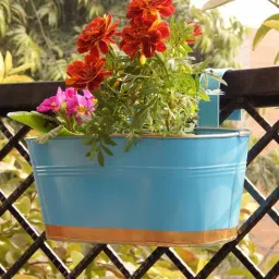 ecofynd 12 Inches Oval Rectangular Sky Blue Metal Planter-picture-45