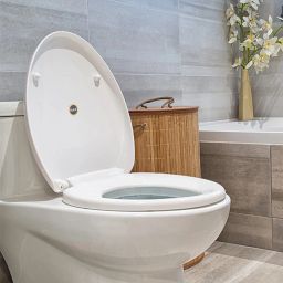 Plastic Toilet Seat Cover-image-84