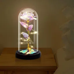 Rainbow Rose Night Lamp-14