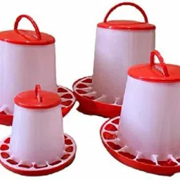 Common Bird Feeder-10