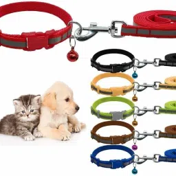 Reflective Leash Collar for Puppy Set with Bell for Cats and Dogs 10mm 120 cm Dog Strap Leash-image-70