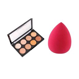 Lenon 8 Color Concealer Palette With Beauty Blender-16
