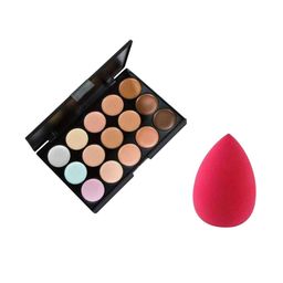 Lenon 15 Color Contour Palette With Beauty Blender-31
