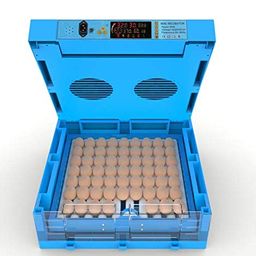 generic Newest Chicken Egg Rolling Type Automatic Egg Incubator (Red) (Any Size Egg can be Hatched) by Ndeal Capacity of - (64 egg incubator) image 2