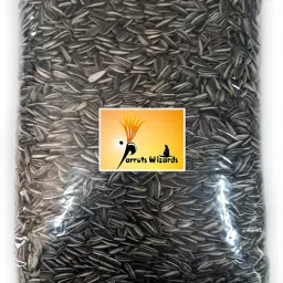 Parrots Wizard 0.9 kg Dry Adult, Young, New Born Bird Food-39