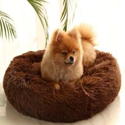 The round donut is perfect for indoor cats and puppies winter, Summer XXXL Pet Bed-image-2