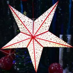 Paper Star Hanging Lantern_White_AZ5pack of 1 White Paper Hanging Lantern-image-63