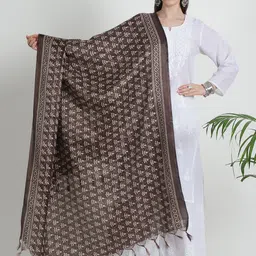 LOOM LEGACY Printed Art Silk Dupatta-55