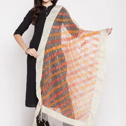 Clora Creation Embroidered Organza Dupatta with Mirror Work-picture-21