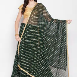 Clora Creation Printed Georgette Flared Skirt With Dupatta-picture-45