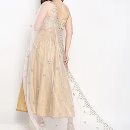 Dupatta Bazaar White & Silver-Toned Ethnic Motifs Embroidered Dupatta with Mirror Work image 5