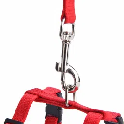 futurekart Cat Collar & Chain image 2