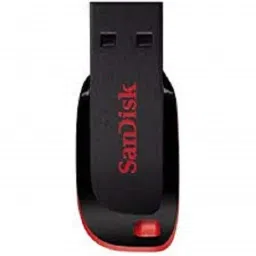 SanDisk 128 GB Storage Utility Pendrive 128 GB Pen Drive Compatible with Desktop Computer, Mobile, Laptop USB 2.0 Plastic Case-11