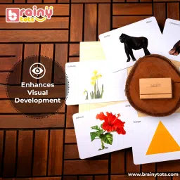 brainytots Stable Flashcard Stand | Natural Wood Display | Enhances Visual image 5
