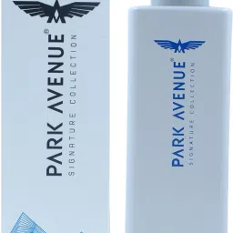 Voyage Corsica Cool Premium Perfume Body Spray-For Men-image-29