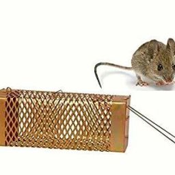 wala pinjra,chuha pakadne wala,Rat/Mouse/Rodent Small Iron Trap/Catcher Cage, Live Trap-6
