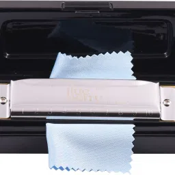 R-1008 10 Holes 20 Tones Blues Key Of C Diatonic Mouth Organ with Cover-27