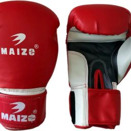 Pro Training 10 Oz Boxing Gloves-image-22