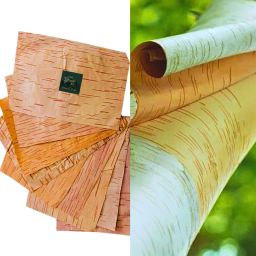 3pc 10*7inch Original bhojpatra sheet, bhojpatra wooden yantra, bhoj patra leaf Wooden Yantra-image-58