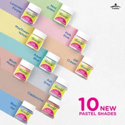 fevicryl Acrylic Colours Pastel Kit | 10 x 15 ml | DIY Paint, Multi-surface image 3