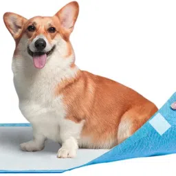 Best Pee Pads for Pets,Dogs,Rabbits,Cats Training Pads with Floor Tape-40 x 60CM Disposable Dog & Cat Diapers-image-0